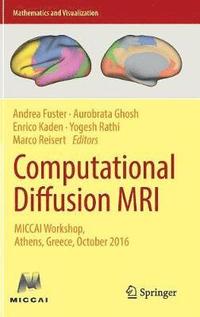 bokomslag Computational Diffusion MRI