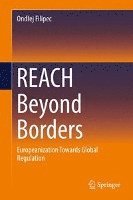 bokomslag REACH Beyond Borders