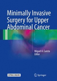 bokomslag Minimally Invasive Surgery for Upper Abdominal Cancer