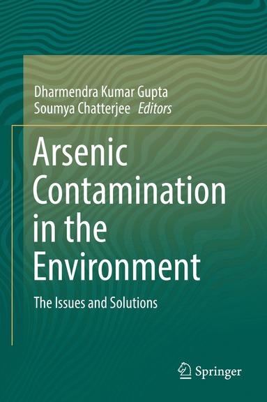 bokomslag Arsenic Contamination in the Environment