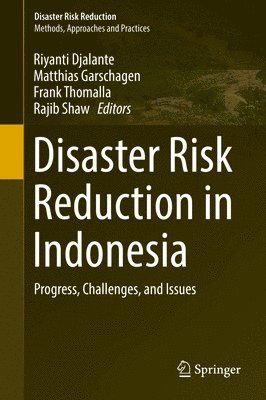 bokomslag Disaster Risk Reduction in Indonesia