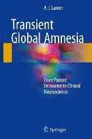 bokomslag Transient Global Amnesia