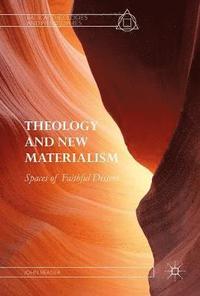 bokomslag Theology and New Materialism