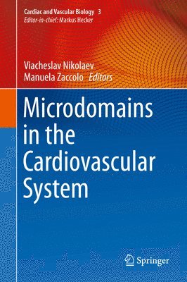 Microdomains in the Cardiovascular System 1