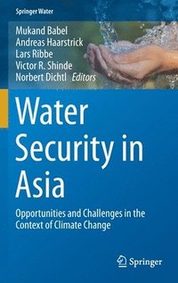 bokomslag Water Security in Asia