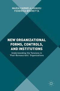 bokomslag New Organizational Forms, Controls, and Institutions