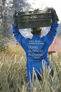 bokomslag Doing Business In Ghana