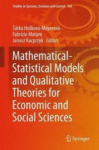bokomslag Mathematical-Statistical Models and Qualitative Theories for Economic and Social Sciences