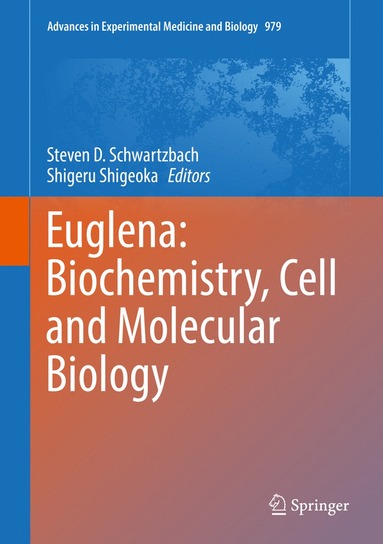 bokomslag Euglena: Biochemistry, Cell and Molecular Biology