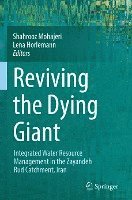 bokomslag Reviving the Dying Giant