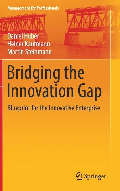 bokomslag Bridging the Innovation Gap