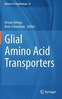 bokomslag Glial Amino Acid Transporters