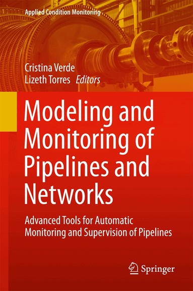 Cristina Verde, Lizeth Torres - Modeling and Monitoring of Pipelines and Networks, Inbunden