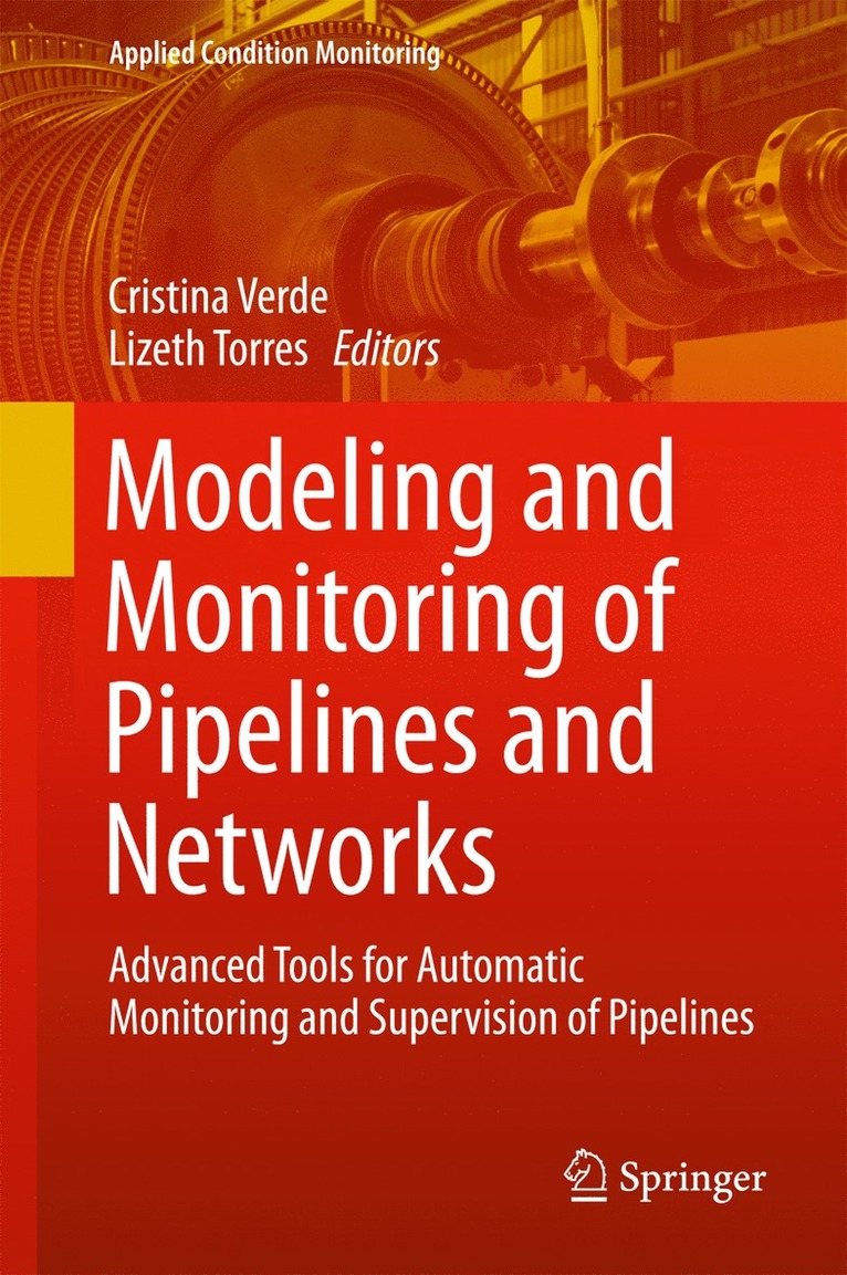 Modeling and Monitoring of Pipelines and Networks 1