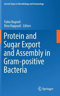 bokomslag Protein and Sugar Export and Assembly in Gram-positive Bacteria