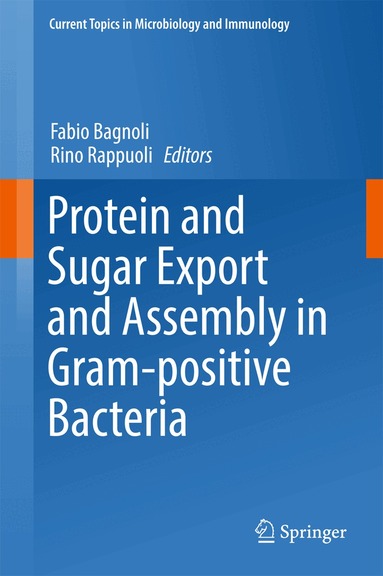 Fabio Bagnoli, Rino Rappuoli - Protein and Sugar Export and Assembly in Gram-positive Bacteria, Inbunden