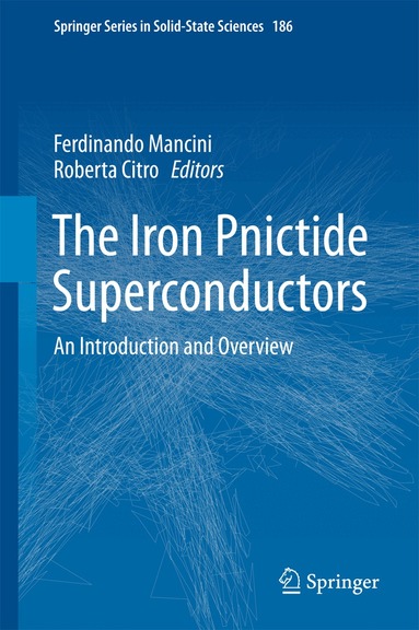 Ferdinando Mancini, Roberta Citro - Iron Pnictide Superconductors, Inbunden