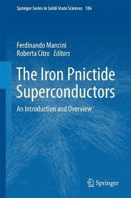 bokomslag The Iron Pnictide Superconductors