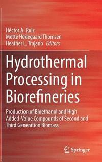 bokomslag Hydrothermal Processing in Biorefineries