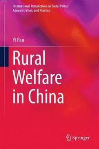 bokomslag Rural Welfare in China