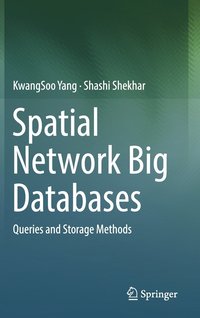 bokomslag Spatial Network Big Databases