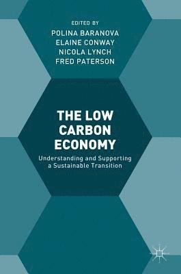 bokomslag The Low Carbon Economy