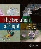 bokomslag The Evolution of Flight