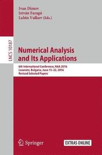 bokomslag Numerical Analysis and Its Applications