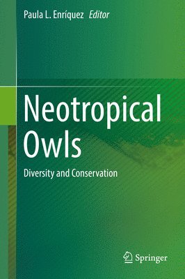 bokomslag Neotropical Owls