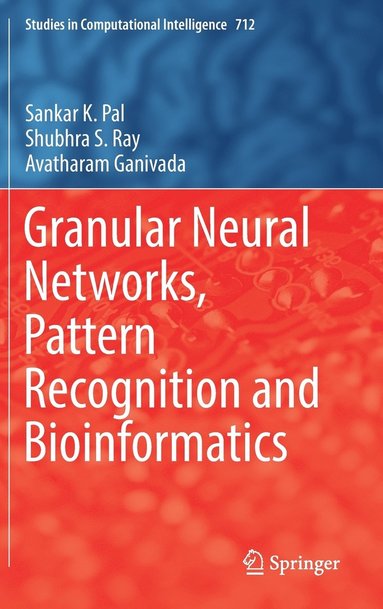 bokomslag Granular Neural Networks, Pattern Recognition and Bioinformatics