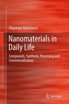 bokomslag Nanomaterials in Daily Life