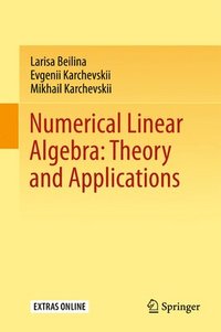 bokomslag Numerical Linear Algebra: Theory and Applications
