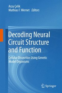 bokomslag Decoding Neural Circuit Structure and Function