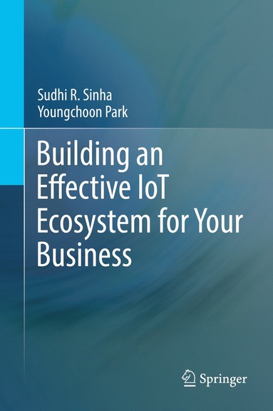 bokomslag Building an Effective IoT Ecosystem for Your Business