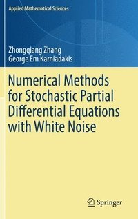 bokomslag Numerical Methods for Stochastic Partial Differential Equations with White Noise