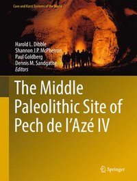 bokomslag The Middle Paleolithic Site of Pech de l'Az IV