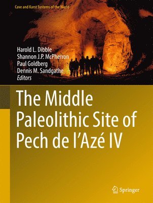 Harold L. Dibble, Shannon J. P. McPherron, Paul Goldberg, Dennis M. Sandgathe - Middle Paleolithic Site of Pech de l'Azé IV, Inbunden