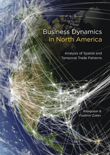 bokomslag Business Dynamics in North America