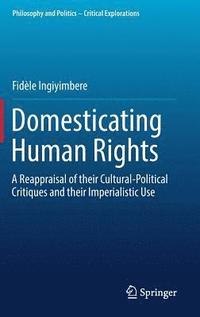 bokomslag Domesticating Human Rights