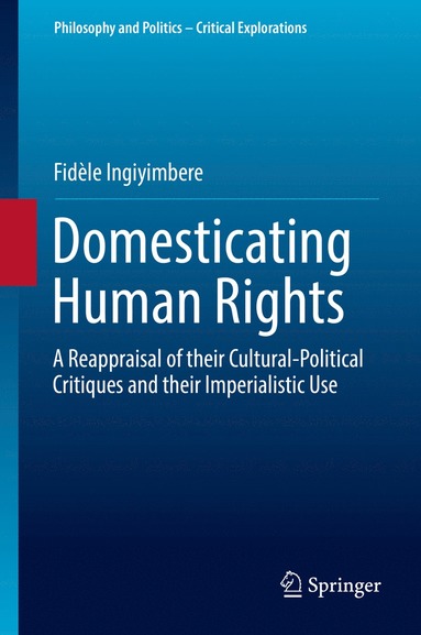 bokomslag Domesticating Human Rights