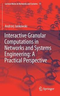 bokomslag Interactive Granular Computations in Networks and Systems Engineering: A Practical Perspective