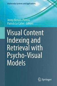 bokomslag Visual Content Indexing and Retrieval with Psycho-Visual Models