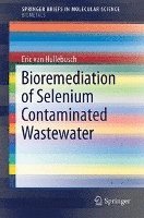 bokomslag Bioremediation of Selenium Contaminated Wastewater