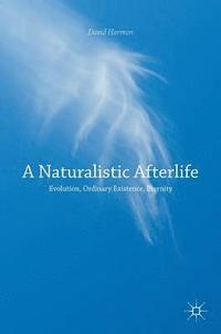 bokomslag Naturalistic Afterlife