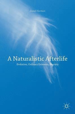 bokomslag Naturalistic Afterlife