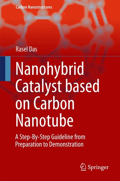 Rasel Das - Nanohybrid Catalyst based on Carbon Nanotube, Inbunden