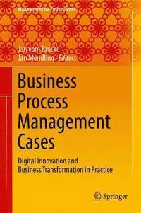 bokomslag Business Process Management Cases