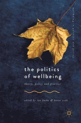 bokomslag Politics of Wellbeing