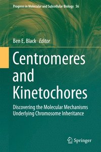 bokomslag Centromeres and Kinetochores
