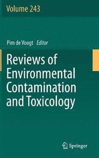 bokomslag Reviews of Environmental Contamination and Toxicology Volume 243